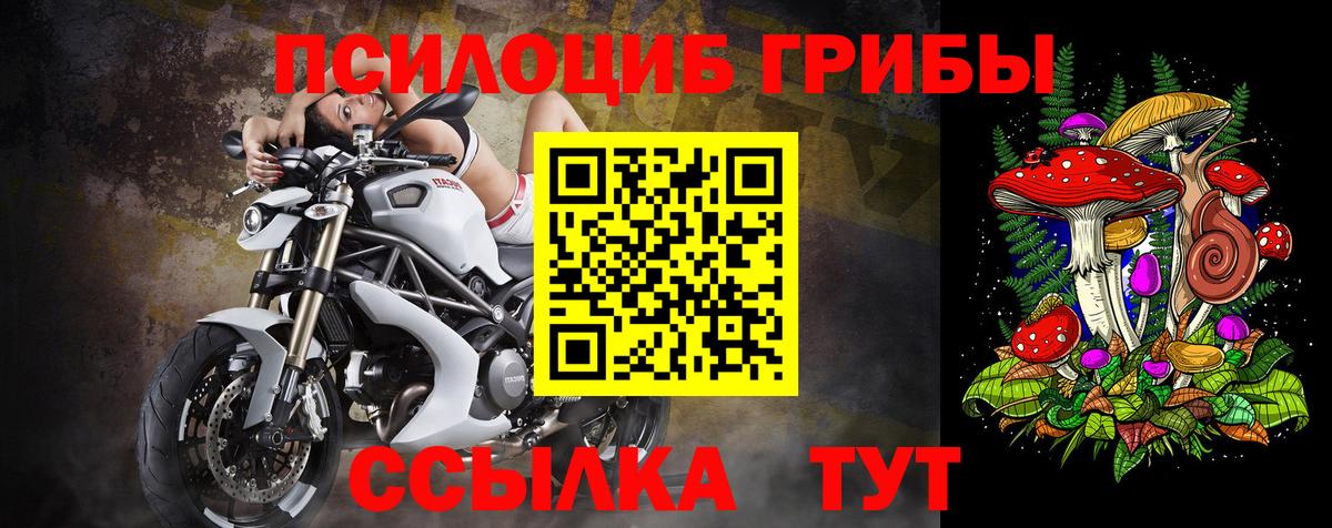 Щёлково  Псилоцибиновые грибы MAGIC MUSHROOMS  Вход с VPN 